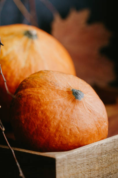 istock Small pumpkins and dried fall leaves still life. Autumn background. 1014040626