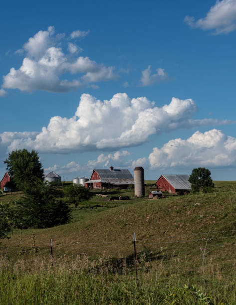 istock Traditional red barns on a midwestern farm 1014041004