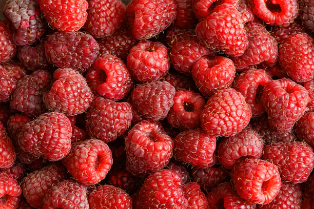 istock Fresh raspberries background closeup photo 1014047216