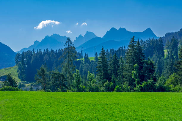 istock Dolomites mountains in Italy 1014064950