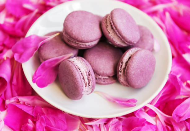 istock Pink peony petals with macarons 1014066212