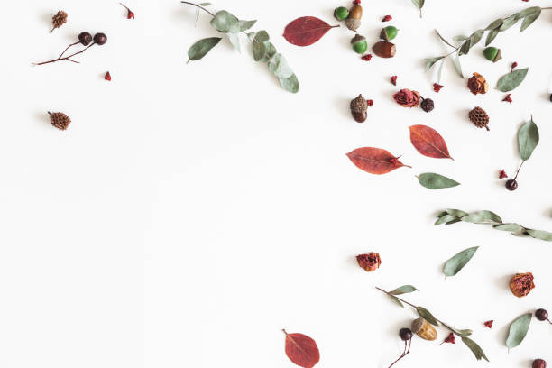 istock Autumn frame on white background. Flat lay, top view 1014068750