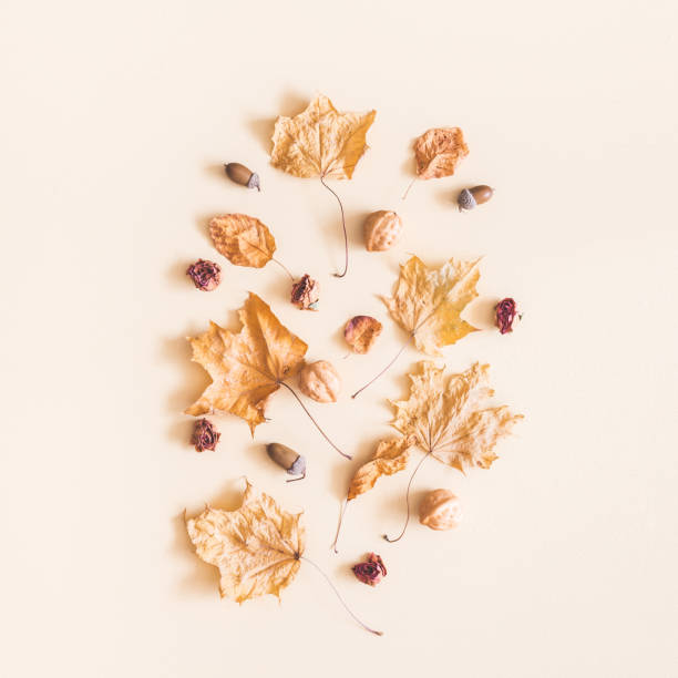 istock Pattern made of autumn maple leaves. Flat lay, top view 1014068836