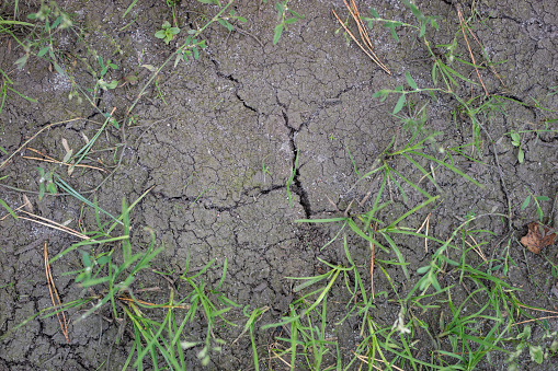 Earth destroyed by great drought. Lack of water and cracked earth. Season of the summer.