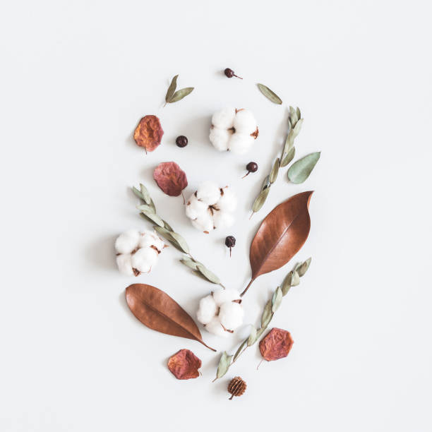 istock Autumn pattern on pastel gray background. Flat lay, top view 1014069758