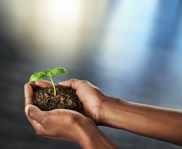 istock There's always hope to hold onto 1014078140