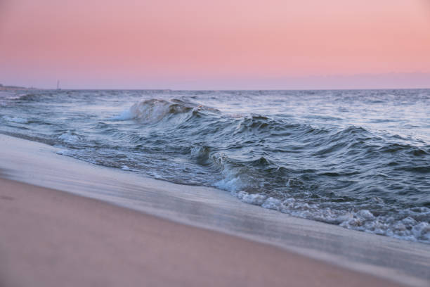 The Baltic sea shore in sunset. Pastel toned image