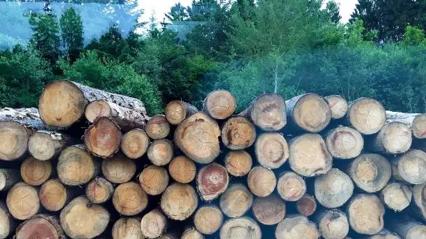 A pile of trunks I found in the way to Hamburg's airport.