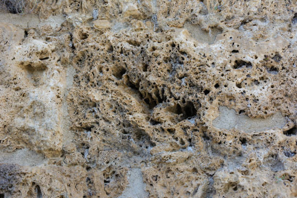 istock the background is a stone wall of limestone limestone 1014102998
