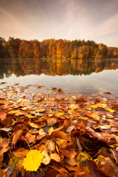 istock Beautiful, colorful autumn lake. 1014104128