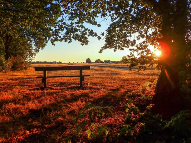 This photo was taken in Chorleywood, Hertfordshire, UK