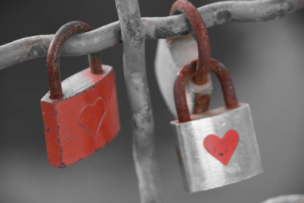 istock Love padlock locked in a bridge in Berlin 1014114148