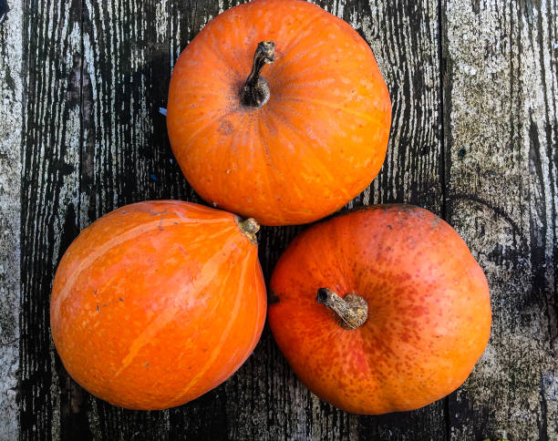 istock Pumpkins on a wooden background 1014116458
