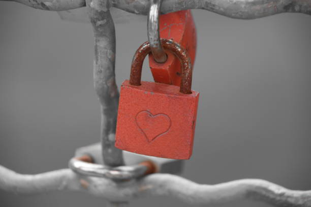 istock Love padlock locked in a bridge in Berlin 1014117328