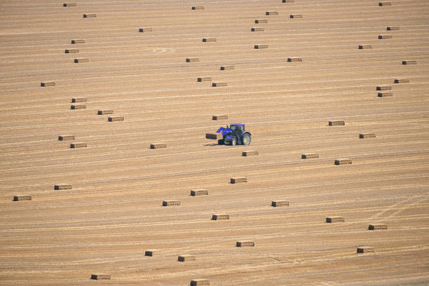 A hay bale plastic wrapping machine in a farm field of large square bales.