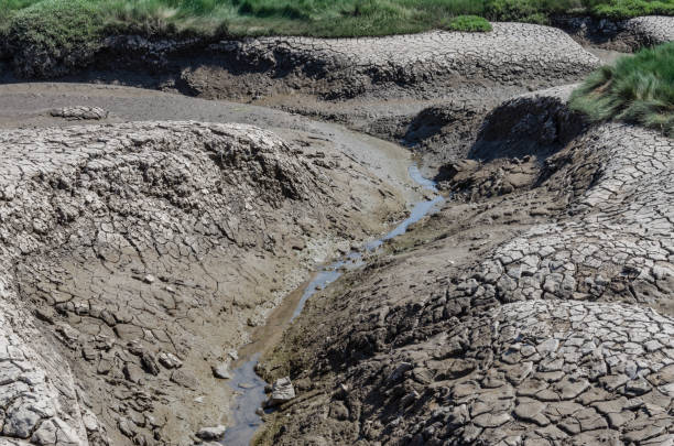乾燥やひびの入った泥銀行。 - global warming drought riverbank dirt ストックフォトと画像