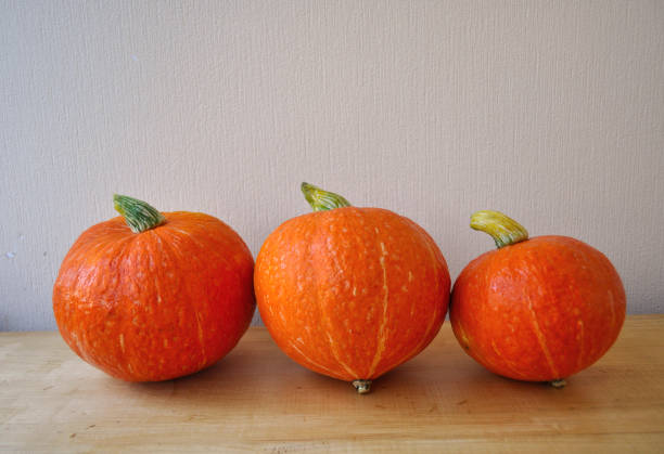 istock Thanksgiving Day - bright round orange pumpkin 1014130350