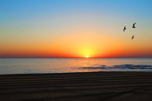 istock Sunrise or sunset on the beach. 1014139080