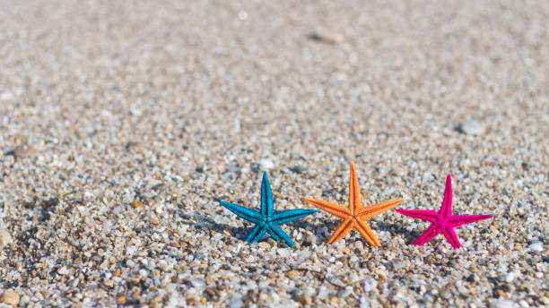 istock Colorful starfish on a sea beach sand 1014139310