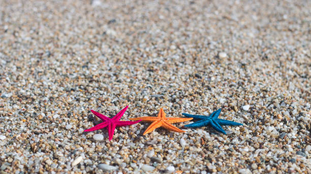 istock Colorful starfish on a sea beach sand 1014139426