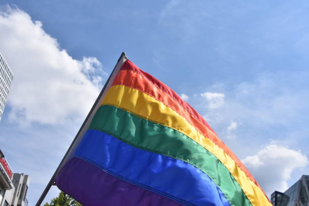 istock Flag of the gay community 1014142004