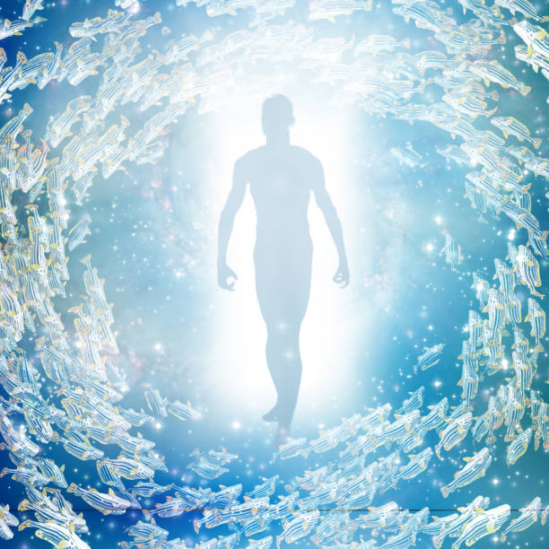 istock Tunnel of Life 1014151552