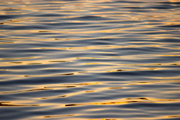 istock Isolated close-up of ripples 1014159678