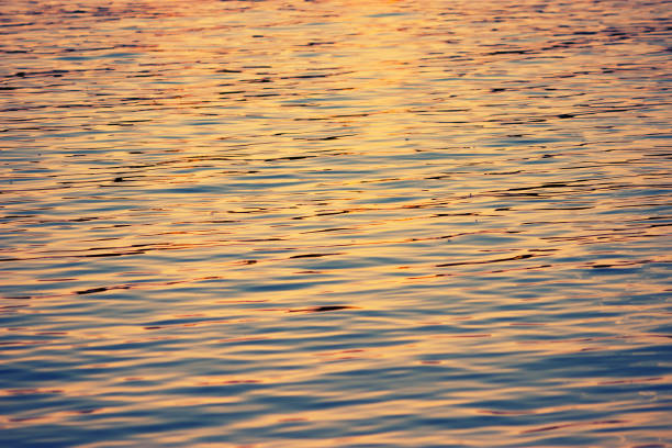 istock Isolated close-up of ripples 1014159764
