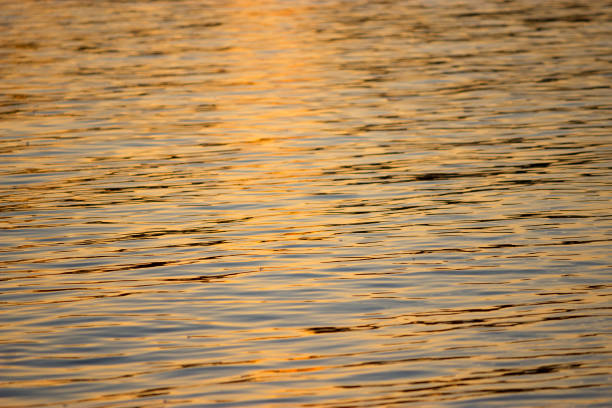 istock Isolated close-up of ripples 1014159780