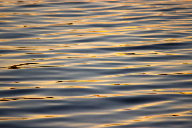 istock Isolated close-up of ripples 1014159824