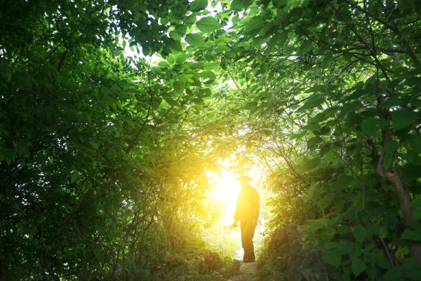 istock asian old man standing in the forest 1014160250