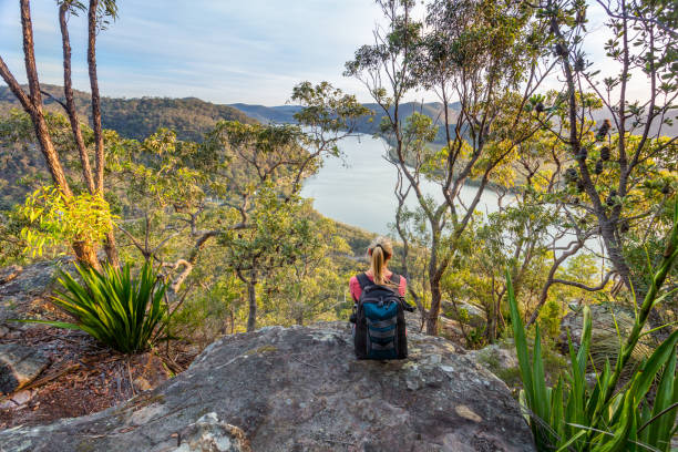 istock Female hiker admiring views from clifftop to river valley 1014186056