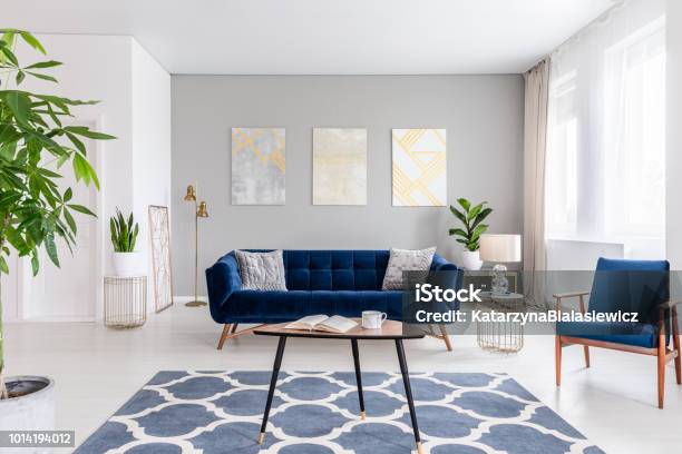 Real Photo Of An Elegant Living Room Interior With A Blue Sofa Armchair Coffee Table Patterned Carpet And Paintings On The Gray Wall Stock Photo - Download Image Now