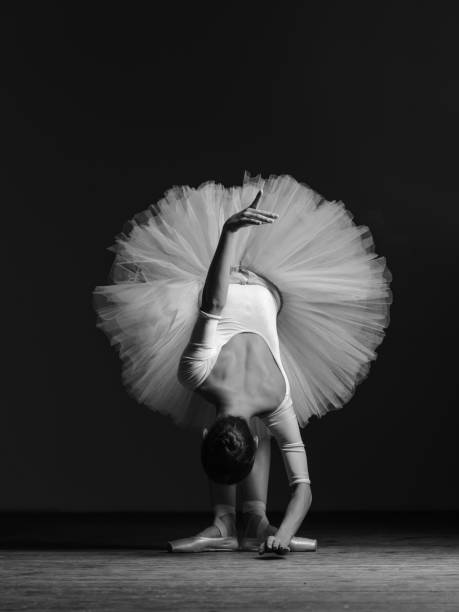 istock Young beautiful ballerina is posing in studio 1014205626