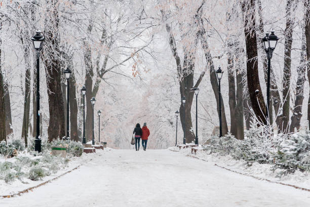 istock Winter park covered with snow and hoarfrost 1014216414