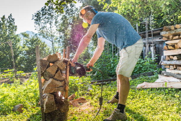 istock Man Cutting Firewoods With Electric Chainsaw 1014219936