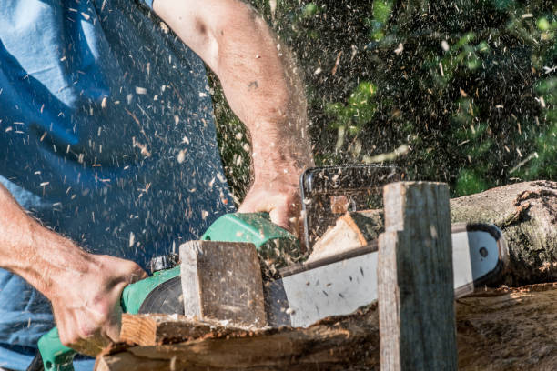 istock Man Cutting Firewoods With Electric Chainsaw 1014219968