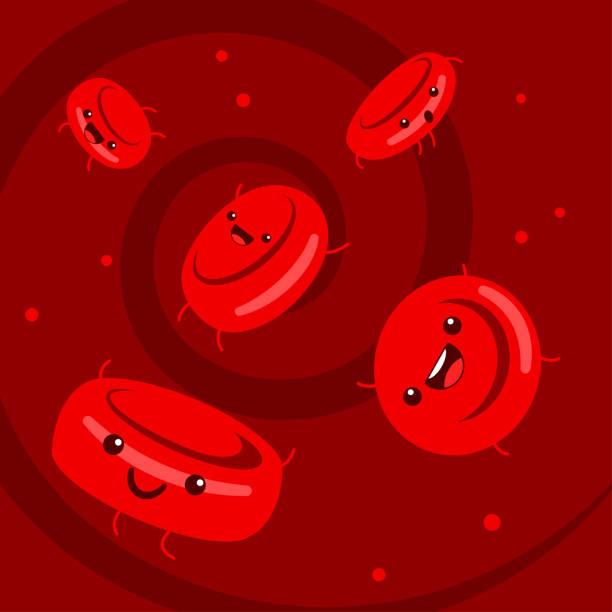 illustrazioni stock, clip art, cartoni animati e icone di tendenza di carino set di vettoriali del personaggio delle cellule del sangue dei cartoni animati. - bacterium biology flowing vascular