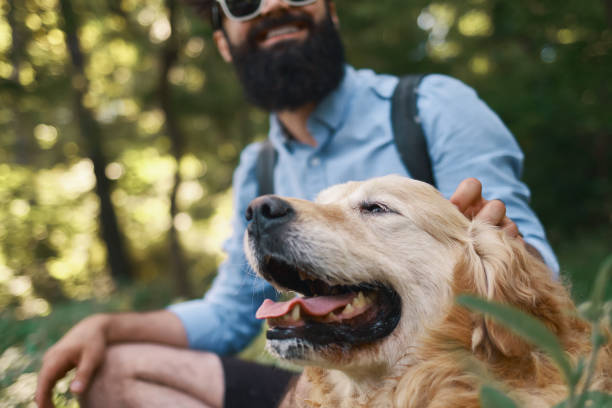 istock Dog and his owner - Cool dog and young man having fun 1014228672