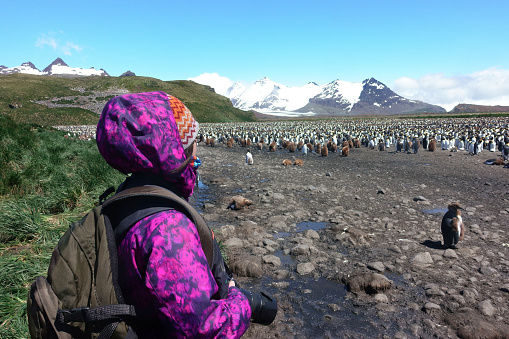woman taking penguin pictures