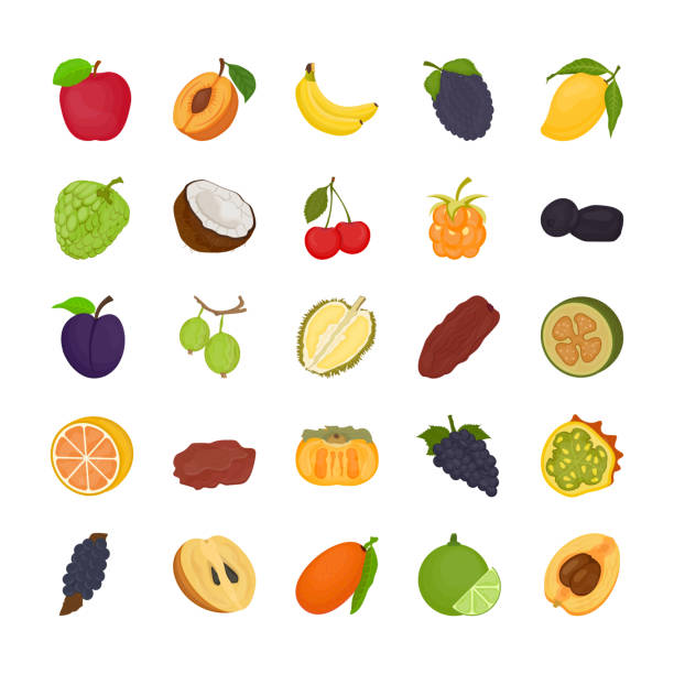Fruit Flat Icons A pack full of fruits’ icons of all kinds from around the world. Whether the fruit is citrus or it is seed-bearing, it is small or big, this pack has each one of them making this colorful pack worth adding into your collection of graphics. marionberry stock illustrations