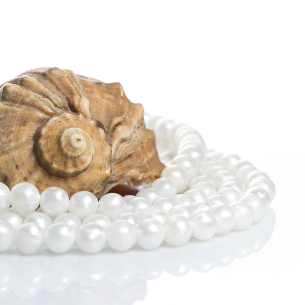 istock Seashell and pearl necklace 1014235438