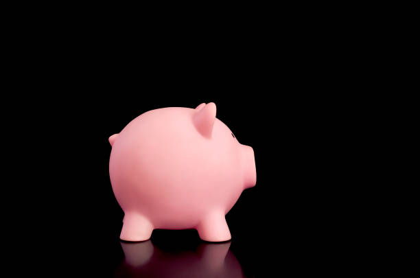 istock Pink piggy bank isolated on black background 1014238992