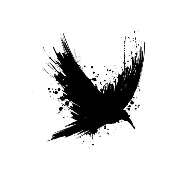 Grunge raven silhouette Black grunge brush raven silhouette isolated on white background raven bird stock illustrations
