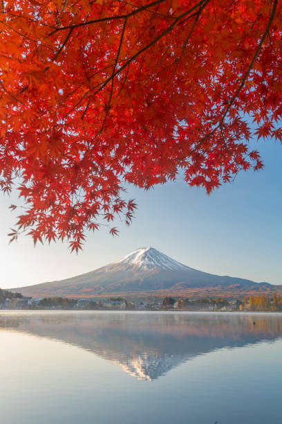 istock Mount Fuji in autumn season 1014244236