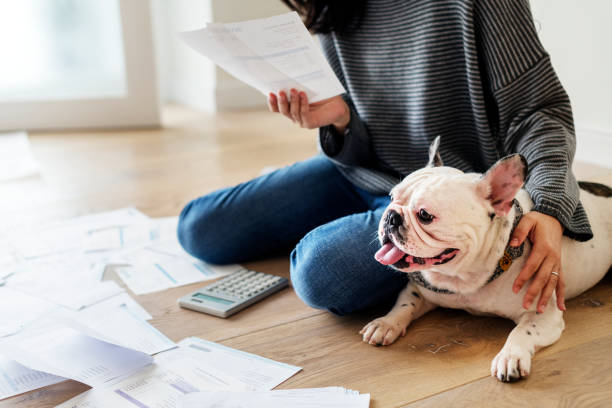 istock Woman managing the debt 1014255246
