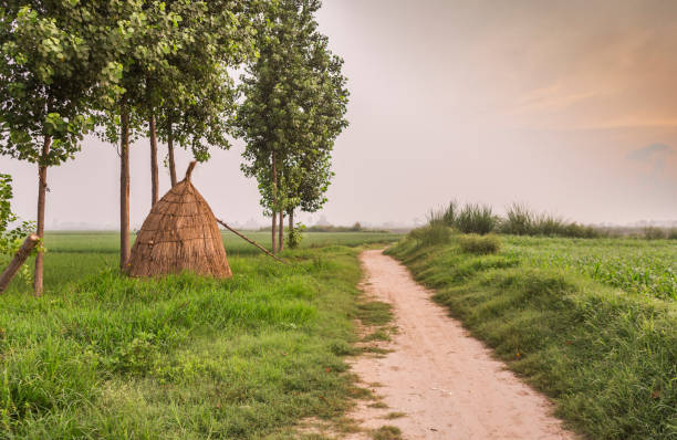 village road - punjab fotografías e imágenes de stock