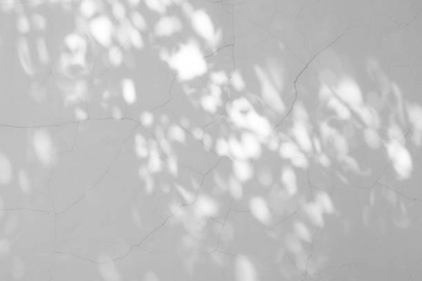 istock Full Frame Shot Of Plants 1014266922