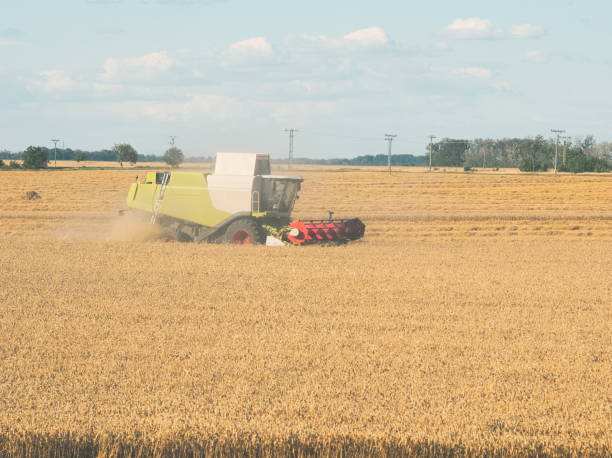 istock Wheat Harvesting with Combine Harvester 1014271638