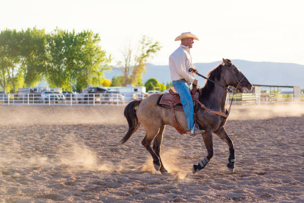 istock Cowboy riding at rodeo arena 1014272154